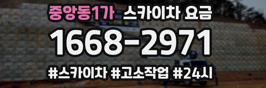 중앙동1가 스카이차 요금