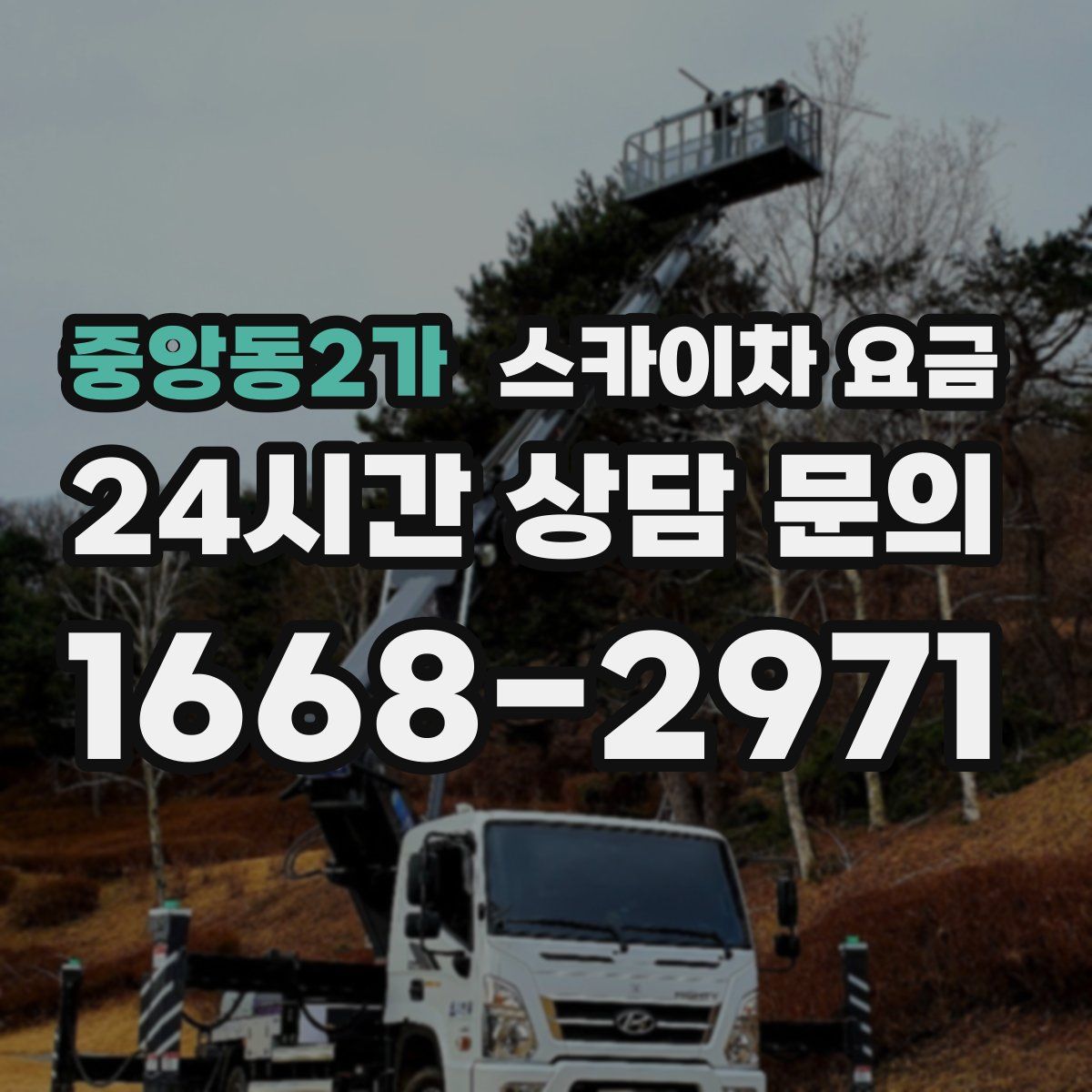 중앙동2가 스카이차 요금