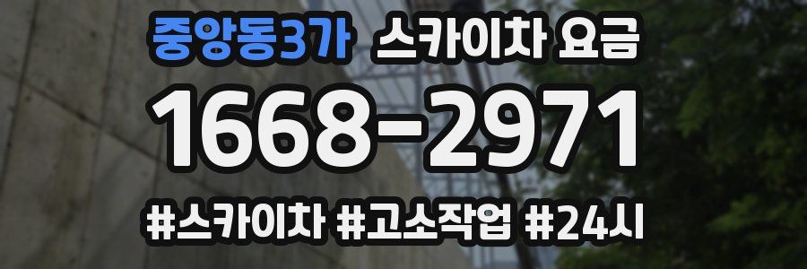 중앙동3가 스카이차 요금