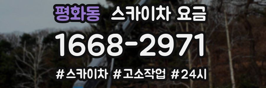 평화동 스카이차 요금