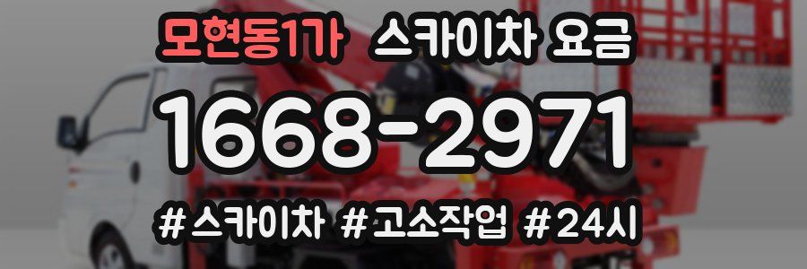 모현동1가 스카이차 요금
