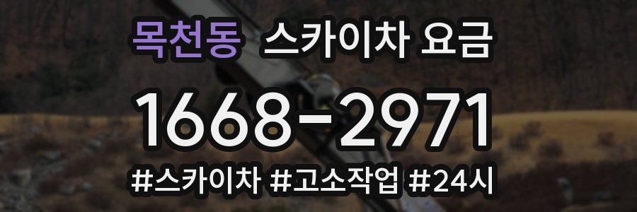 목천동 스카이차 요금