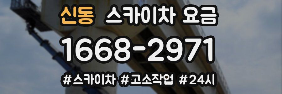 신동 스카이차 요금