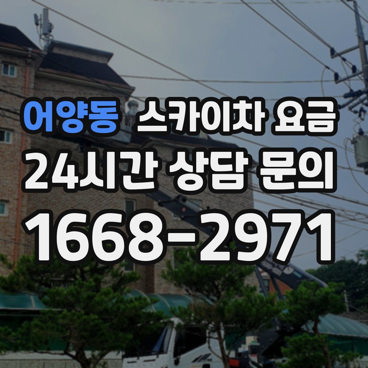 어양동 스카이차 요금