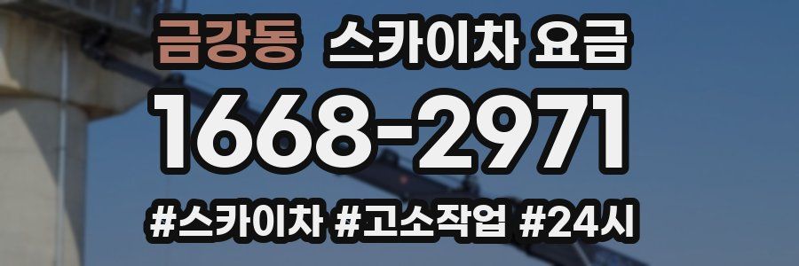 금강동 스카이차 요금
