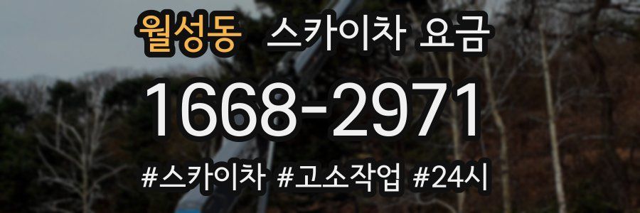 월성동 스카이차 요금