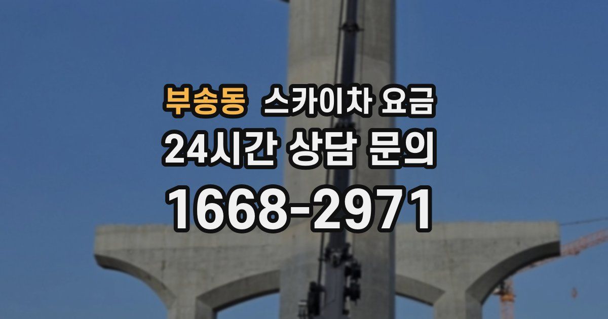 부송동 스카이차 요금