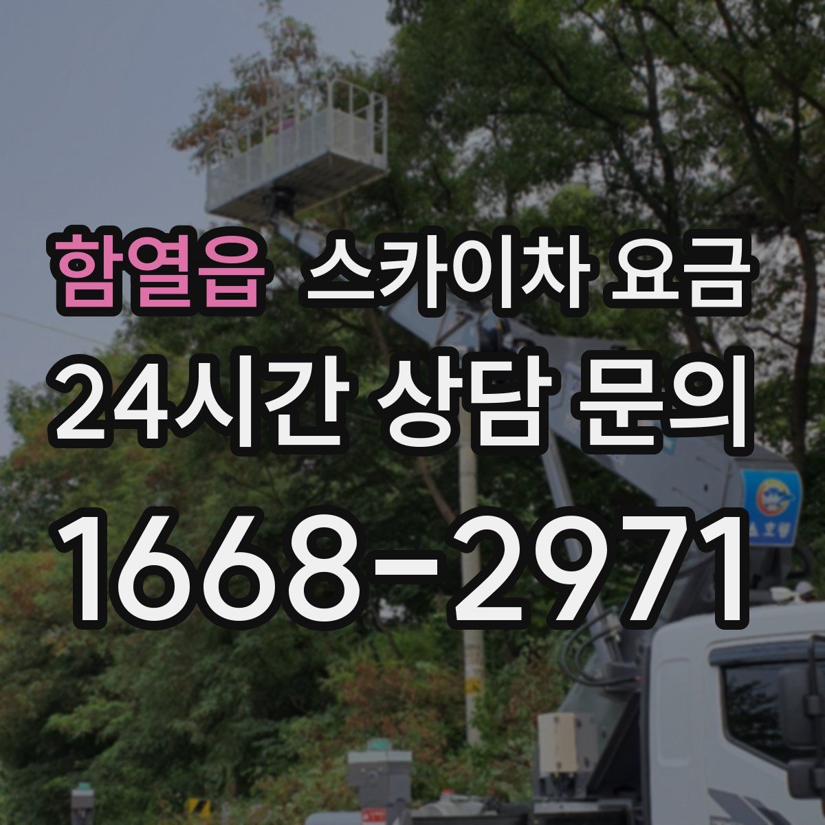 함열읍 스카이차 요금