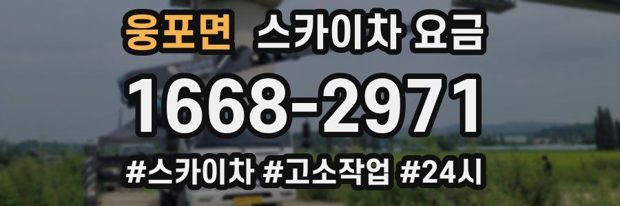웅포면 스카이차 요금