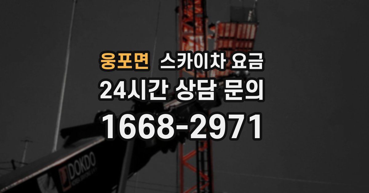 웅포면 스카이차 요금