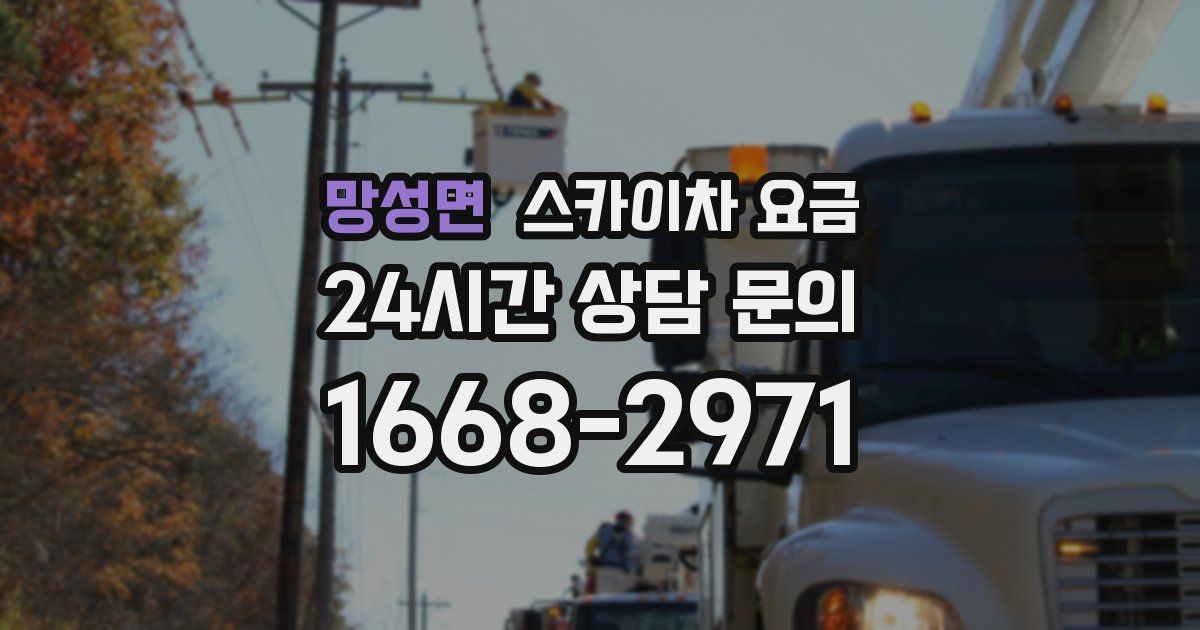 망성면 스카이차 요금