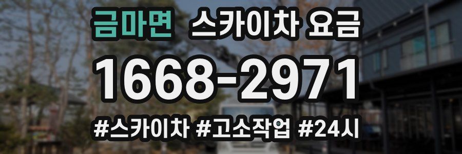 금마면 스카이차 요금