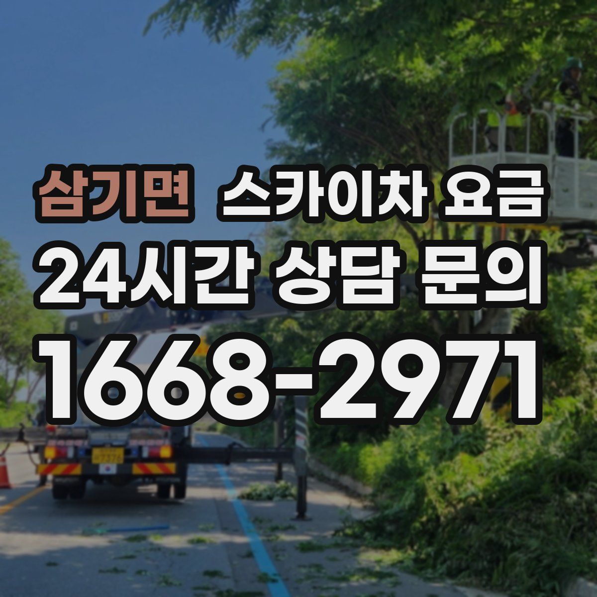 삼기면 스카이차 요금