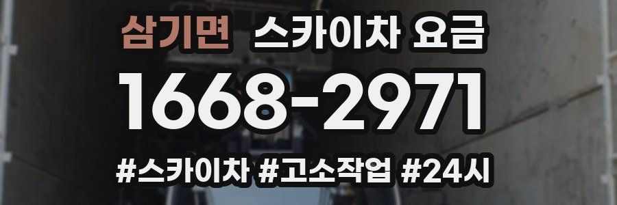 삼기면 스카이차 요금