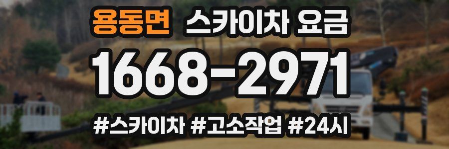 용동면 스카이차 요금