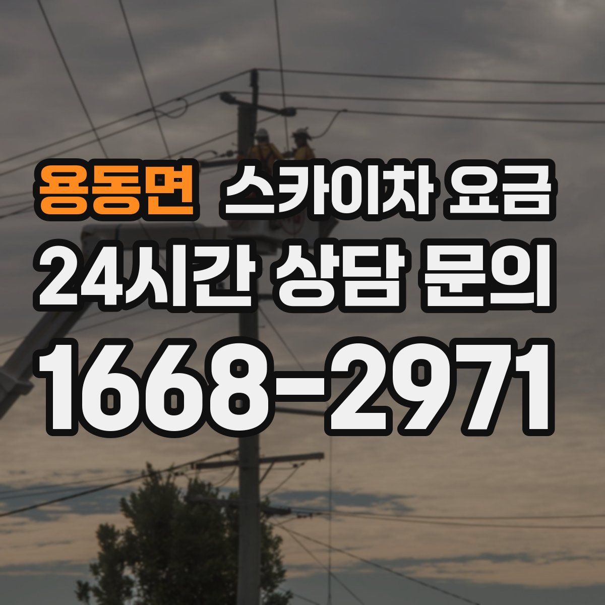 용동면 스카이차 요금