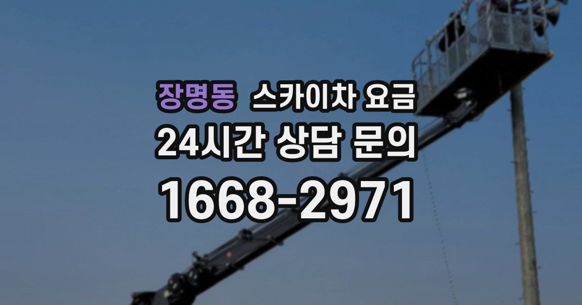 장명동 스카이차 요금