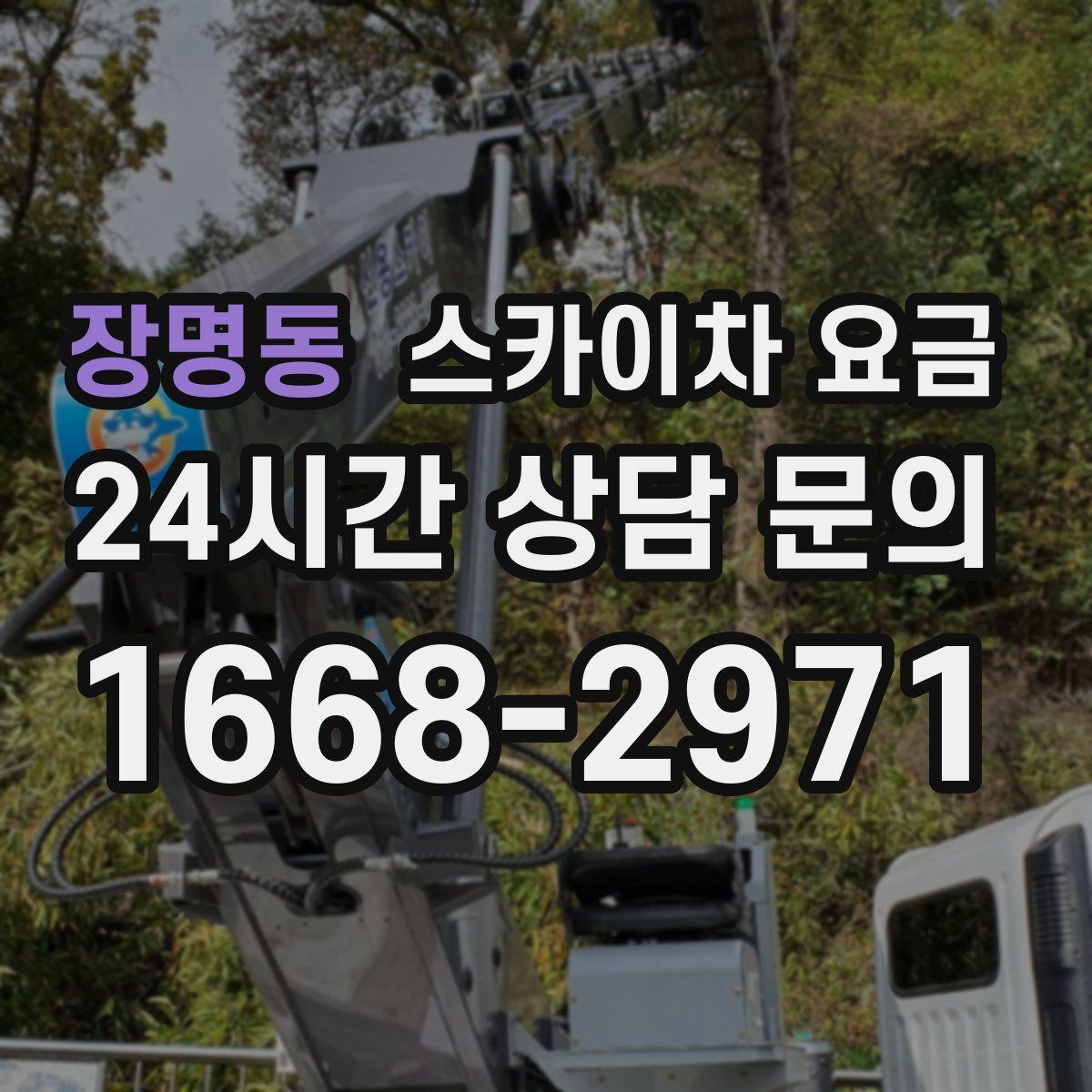 장명동 스카이차 요금
