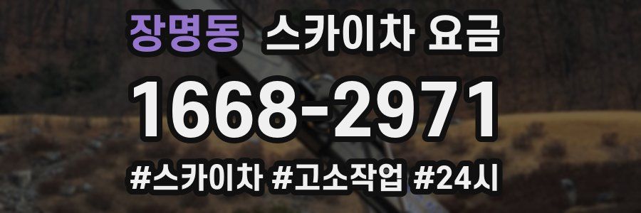 장명동 스카이차 요금