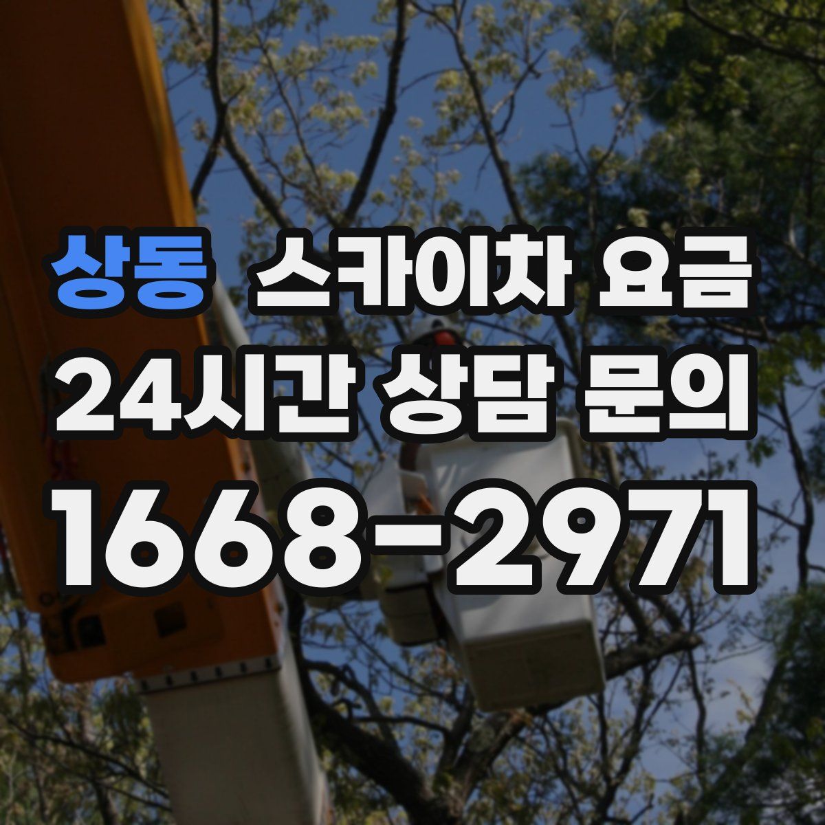 상동 스카이차 요금