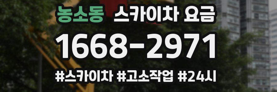 농소동 스카이차 요금