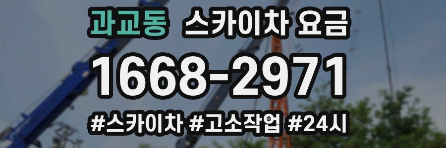 과교동 스카이차 요금