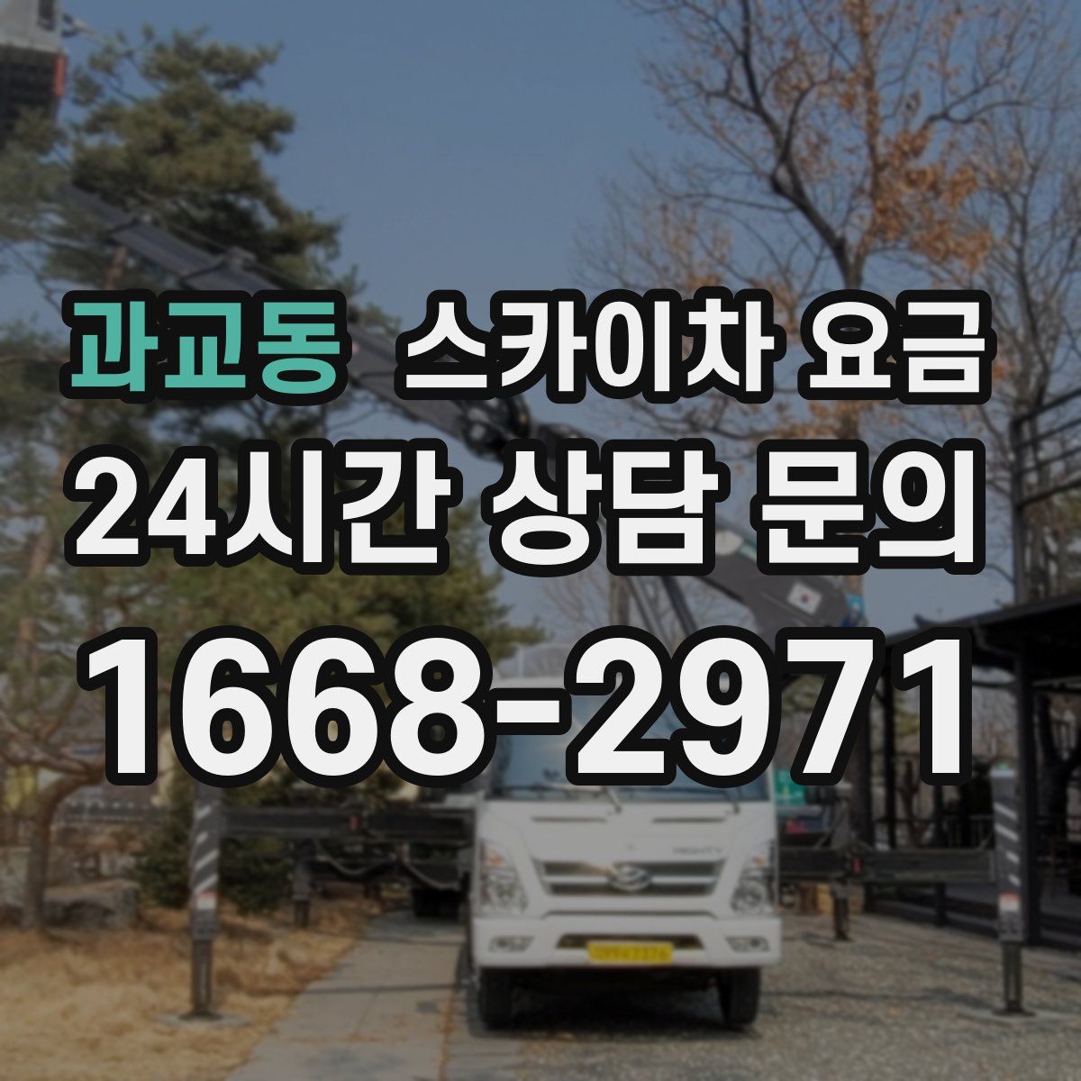 과교동 스카이차 요금