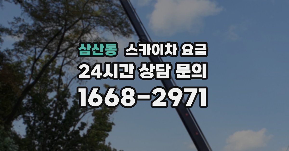 삼산동 스카이차 요금
