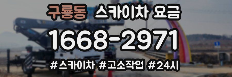 구룡동 스카이차 요금