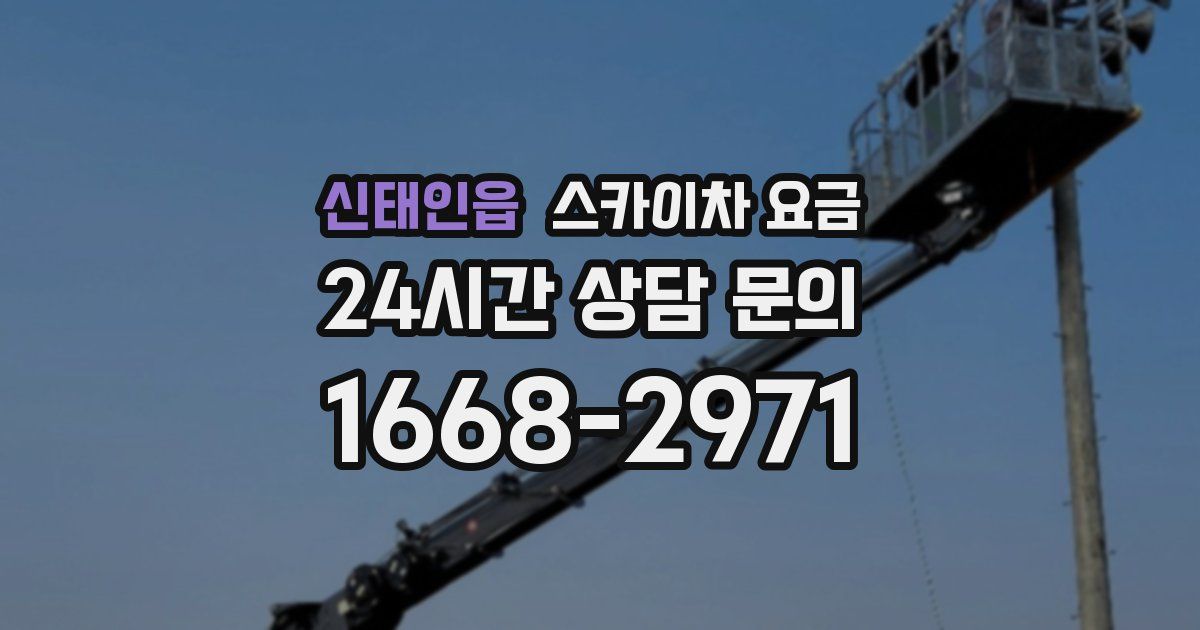 신태인읍 스카이차 요금