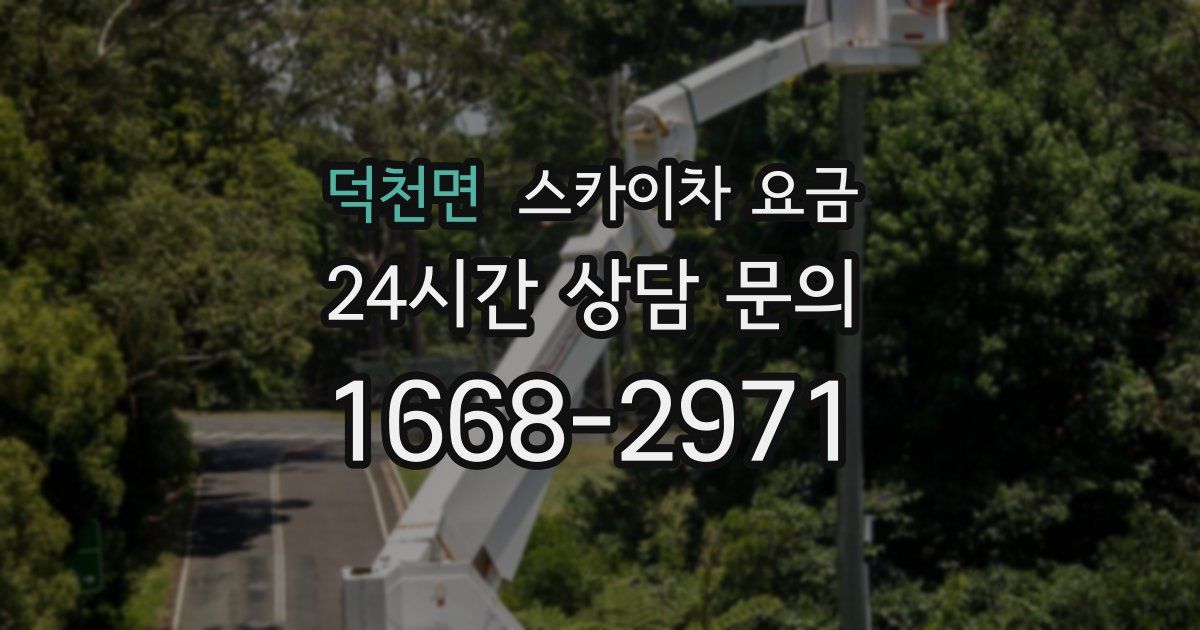 덕천면 스카이차 요금