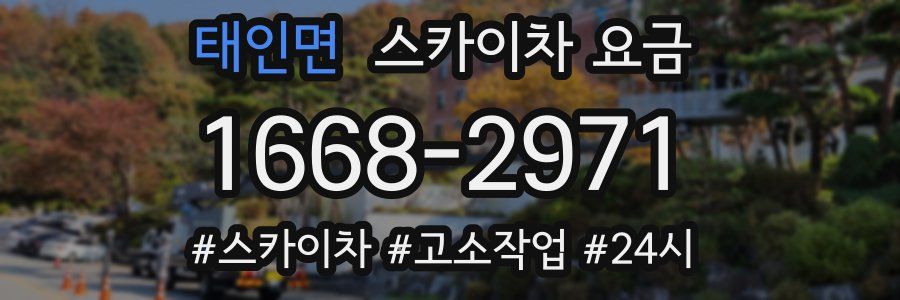 태인면 스카이차 요금