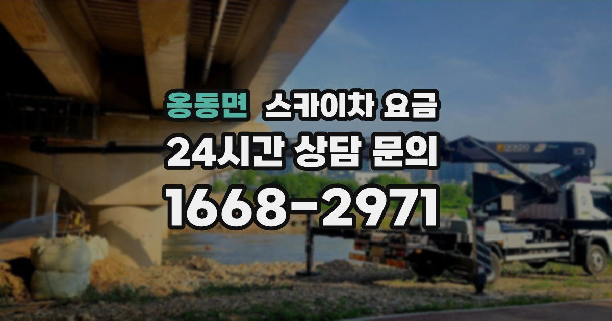 옹동면 스카이차 요금