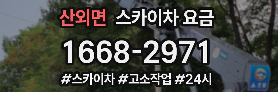 산외면 스카이차 요금