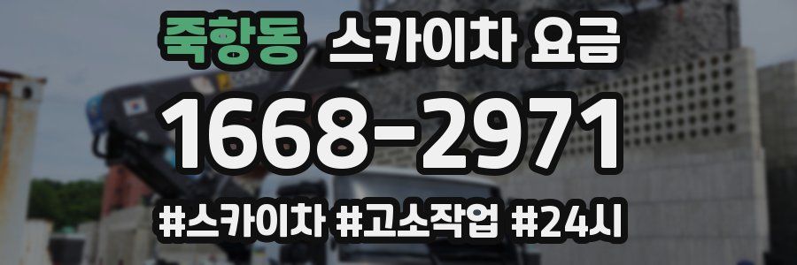 죽항동 스카이차 요금