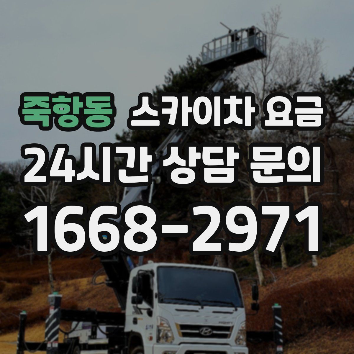 죽항동 스카이차 요금