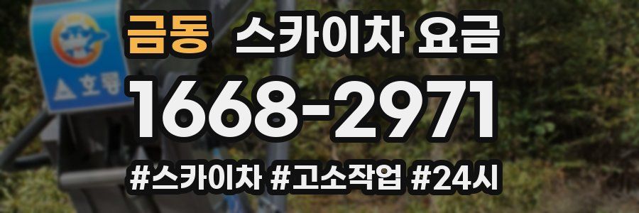 금동 스카이차 요금