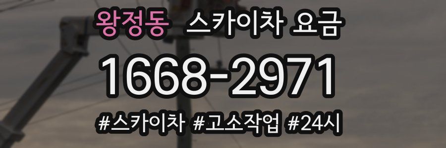 왕정동 스카이차 요금