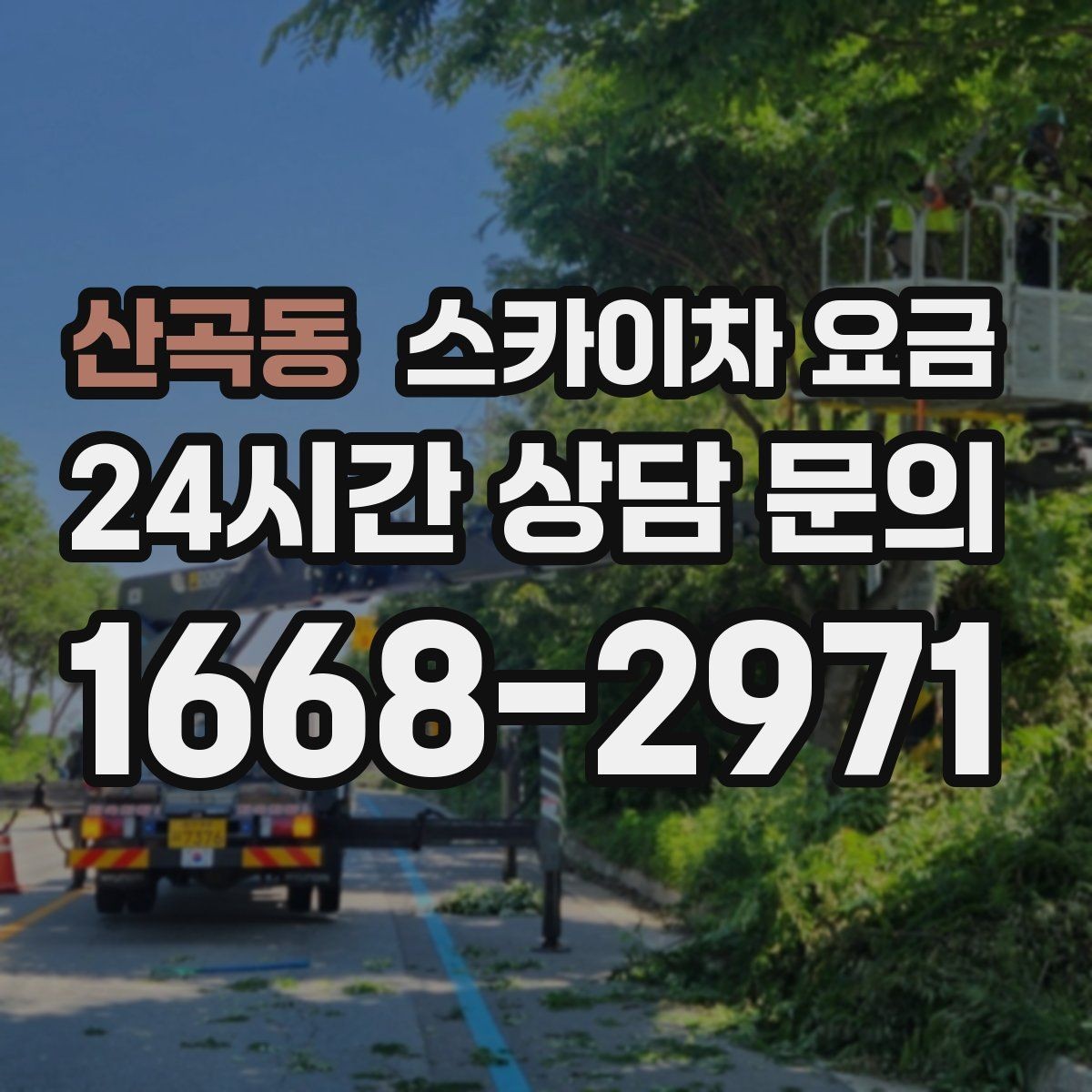 산곡동 스카이차 요금 비용보다 안전이 먼저인 이유 정리