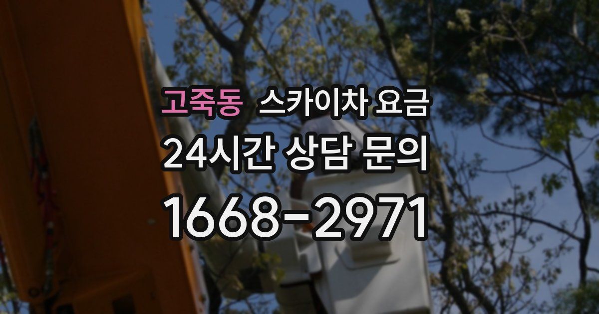 고죽동 스카이차 요금