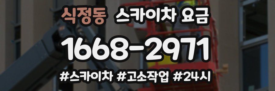 식정동 스카이차 요금