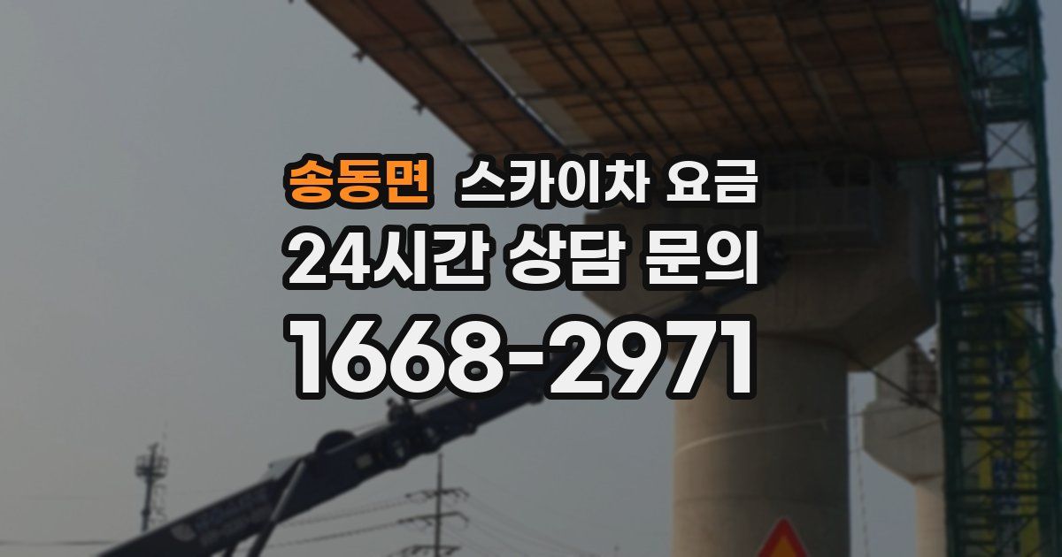 송동면 스카이차 요금