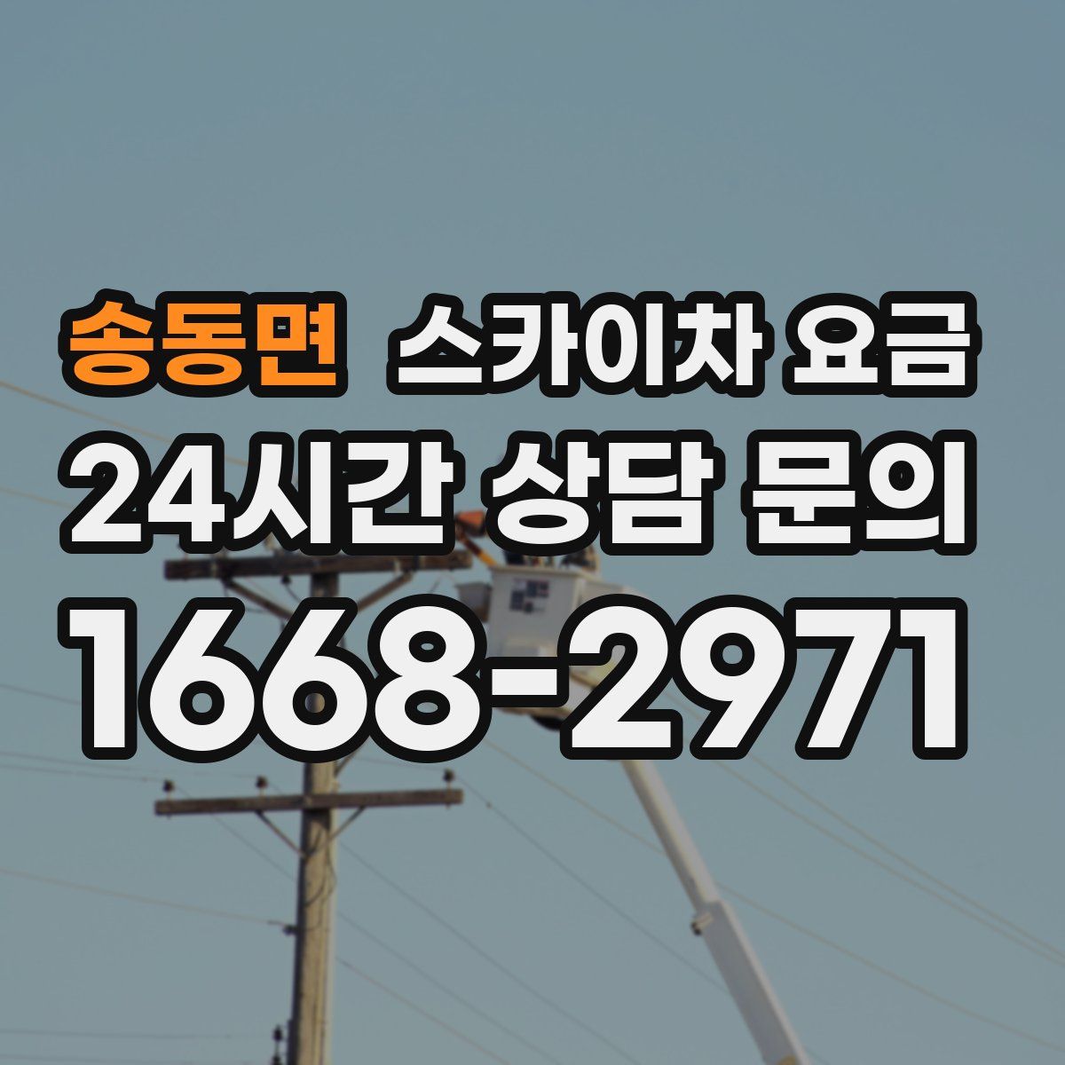 송동면 스카이차 요금