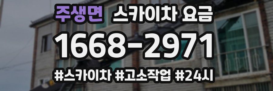 주생면 스카이차 요금