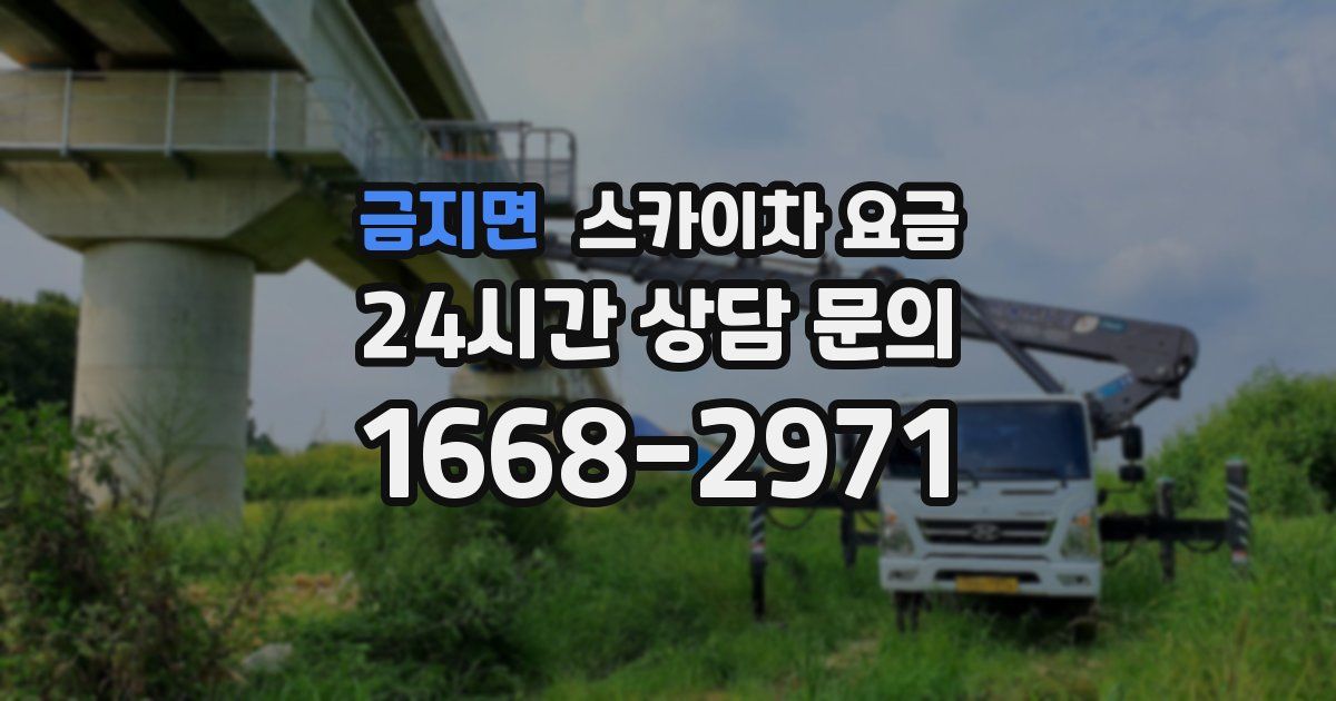 금지면 스카이차 요금