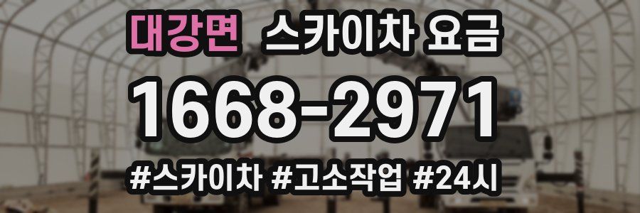 대강면 스카이차 요금