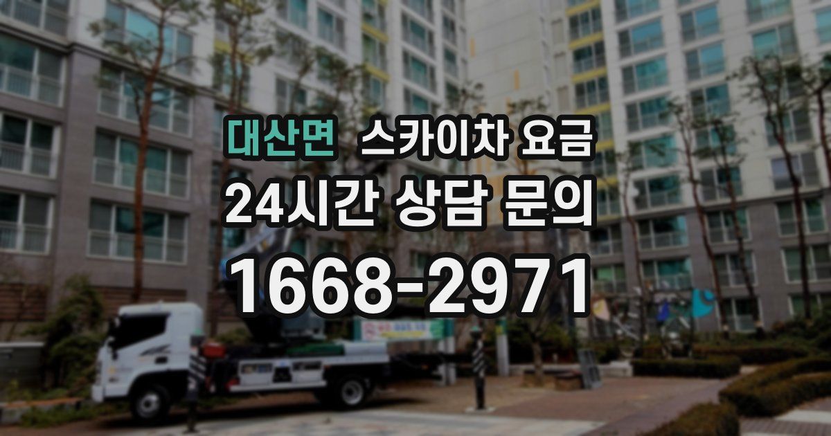 대산면 스카이차 요금