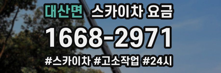 대산면 스카이차 요금