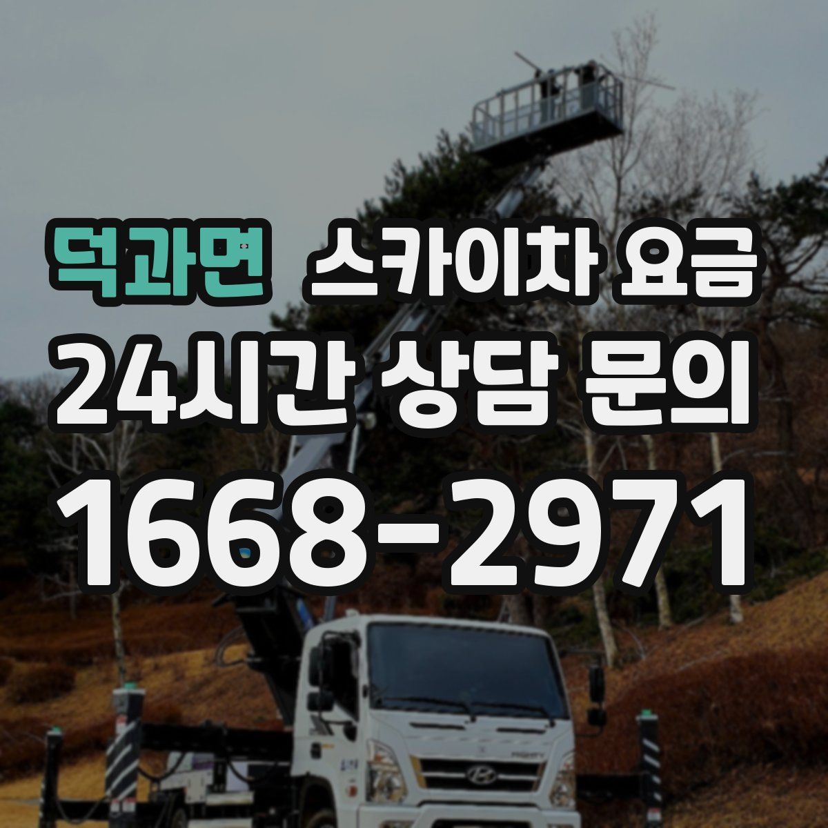 덕과면 스카이차 요금