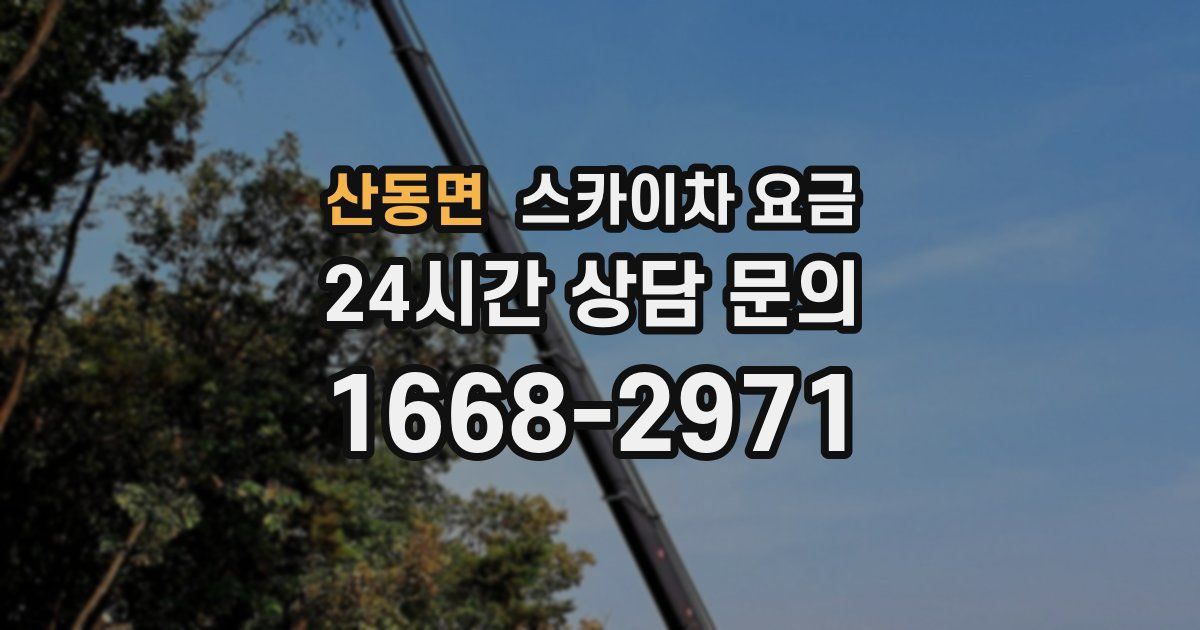 산동면 스카이차 요금